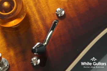 NV-3-24-AL-VTR - Bengal Burst #S2008350 OUTLET